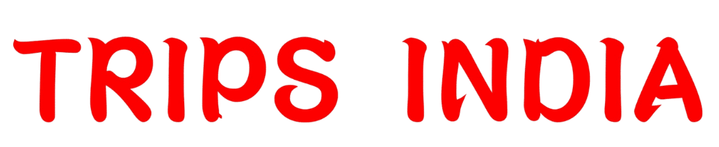 Trips India Logo